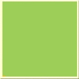 Бумага цветная 120гр/м Clairefontaine- хаки, A4