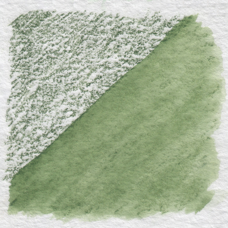 Карандаш акварельный Derwent Watercolour №50/зеленый кедровый