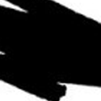 Кисть с краской Pentel Colour Brush для скетчинга, каллиграфии и манги/чёрная